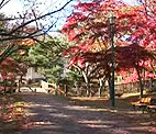 函館公園