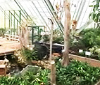 函館市営熱帯植物園