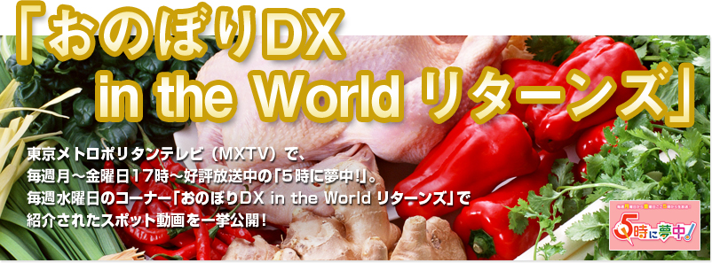 おのぼりDX in the World リターンズ