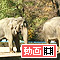 茶臼山動物園