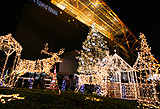 東京タワー開業50周年記念 クリスマスイルミネーション 2008